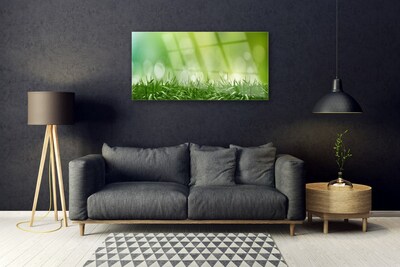 Quadro de vidro Natureza da planta grama