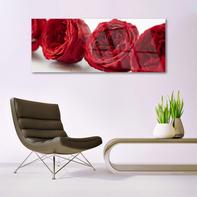 Quadro de vidro Planta de flores rosas