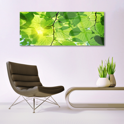 Quadro de vidro Folhas Natureza Planta