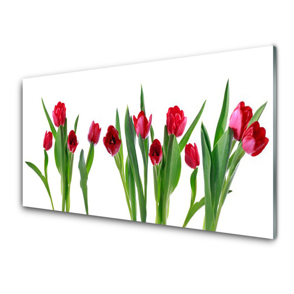 Pintura em vidro Tulipas Flores Planta