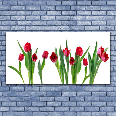 Pintura em vidro Tulipas Flores Planta