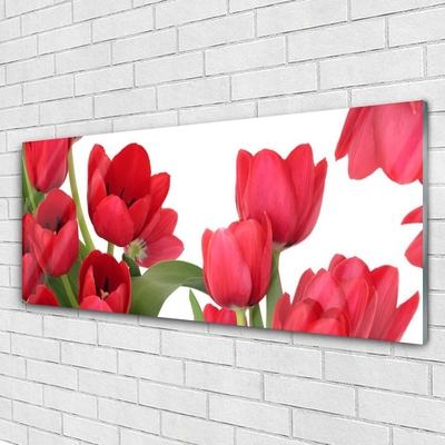 Pintura em vidro Tulipas Flores Planta