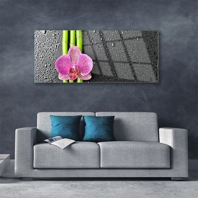 Quadro de vidro Planta de flor de bambu Natureza