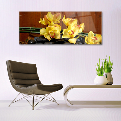 Quadro de vidro Planta de orquídea flor
