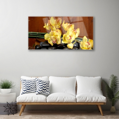 Quadro de vidro Planta de orquídea flor