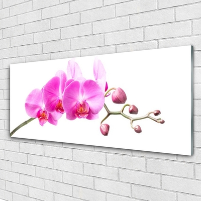 Quadro de vidro Flores Planta Natureza