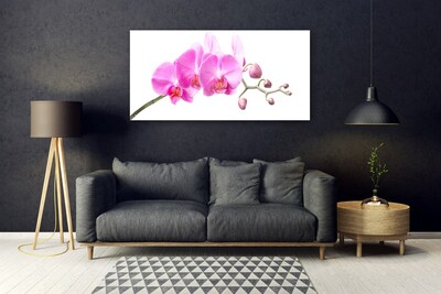 Quadro de vidro Flores Planta Natureza