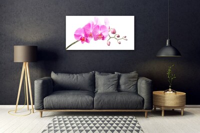 Quadro de vidro Flores Planta Natureza