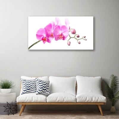 Quadro de vidro Flores Planta Natureza