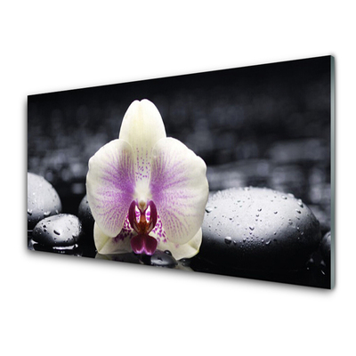 Quadro de vidro Planta de orquídea flor