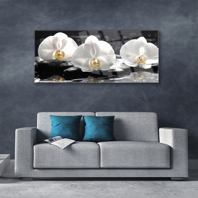 Quadro de vidro Flor de orquídea branca