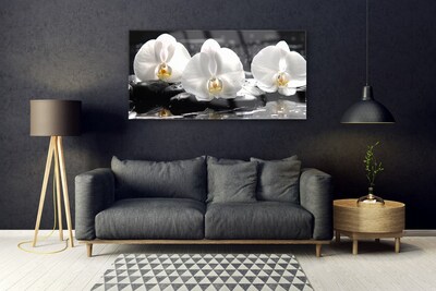 Quadro de vidro Flor de orquídea branca