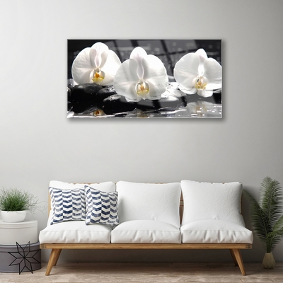 Quadro de vidro Flor de orquídea branca