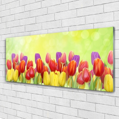 Quadro de vidro Tulipas Flores Planta