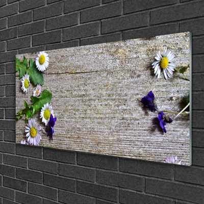 Quadro de vidro Natureza da planta margarida