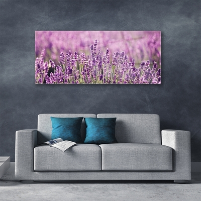 Quadro de vidro Flores Planta Natureza