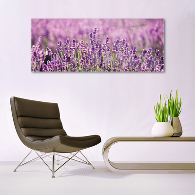Quadro de vidro Flores Planta Natureza