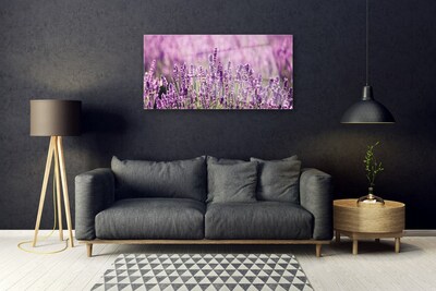 Quadro de vidro Flores Planta Natureza