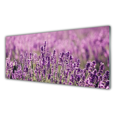 Quadro de vidro Flores Planta Natureza