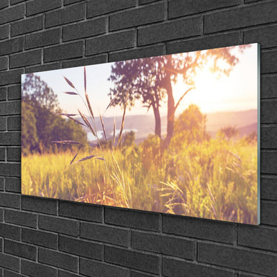 Pintura em vidro Prado Grama Árvore Natureza