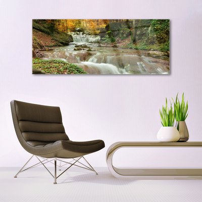 Quadro de vidro Cachoeira Floresta Natureza