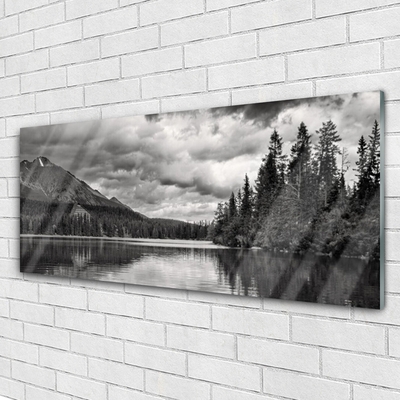 Quadro de vidro Montanha Floresta Lago Natureza