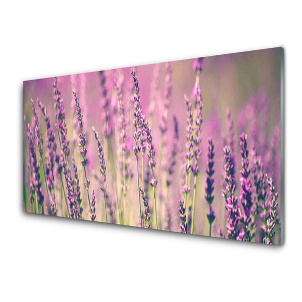 Quadro de vidro Flores Planta Natureza