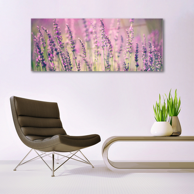 Quadro de vidro Flores Planta Natureza