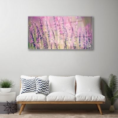 Quadro de vidro Flores Planta Natureza