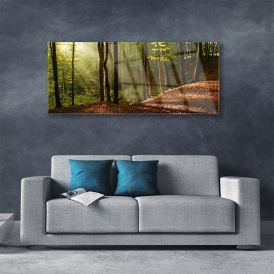 Quadro de vidro Árvores da Floresta Natureza