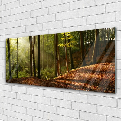 Quadro de vidro Árvores da Floresta Natureza