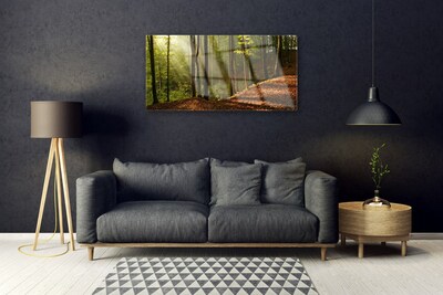 Quadro de vidro Árvores da Floresta Natureza