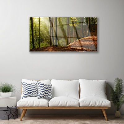 Quadro de vidro Árvores da Floresta Natureza