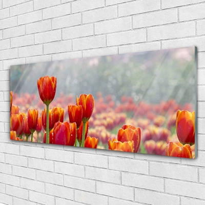 Pintura em vidro Tulipas Flores Planta