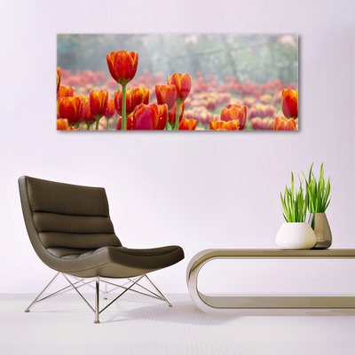 Pintura em vidro Tulipas Flores Planta