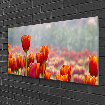 Pintura em vidro Tulipas Flores Planta