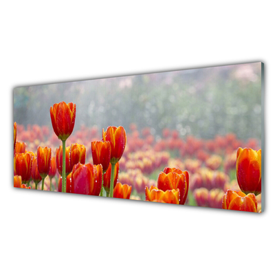 Pintura em vidro Tulipas Flores Planta
