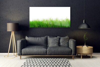 Quadro de vidro Natureza da planta grama