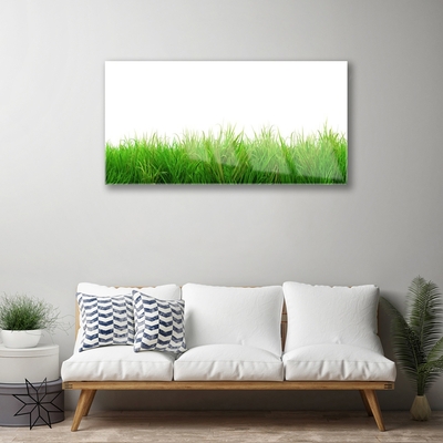 Quadro de vidro Natureza da planta grama