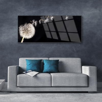 Quadro de vidro Planta de flor dente-de-leão