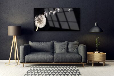 Quadro de vidro Planta de flor dente-de-leão