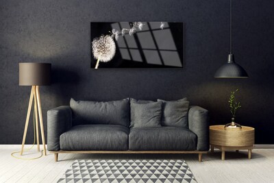 Quadro de vidro Planta de flor dente-de-leão