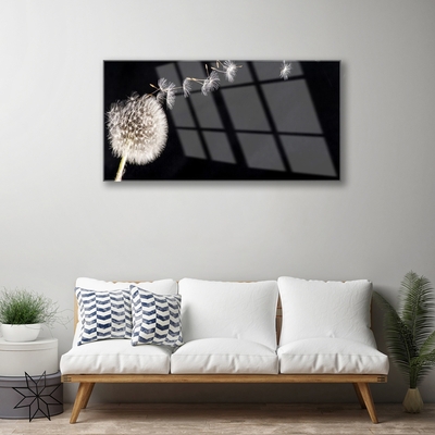 Quadro de vidro Planta de flor dente-de-leão