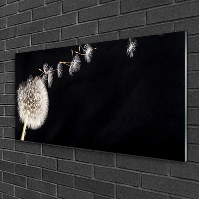 Quadro de vidro Planta de flor dente-de-leão