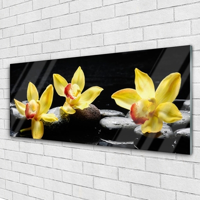 Quadro de vidro Planta de orquídea flor