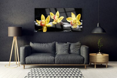 Quadro de vidro Planta de orquídea flor