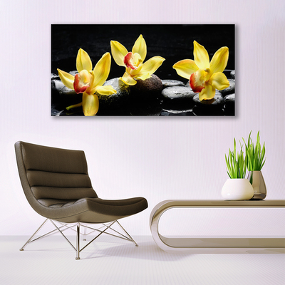 Quadro de vidro Planta de orquídea flor