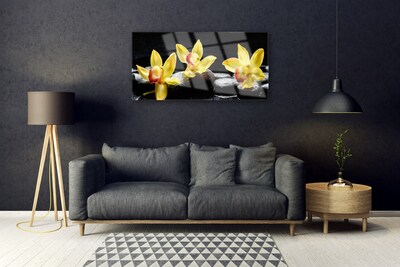 Quadro de vidro Planta de orquídea flor