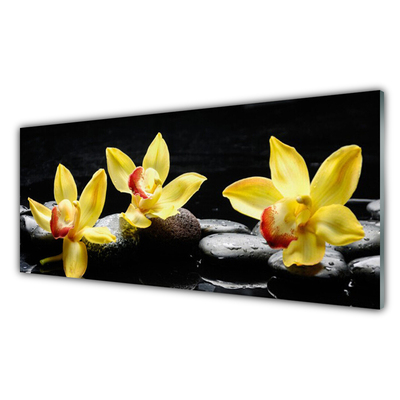 Quadro de vidro Planta de orquídea flor