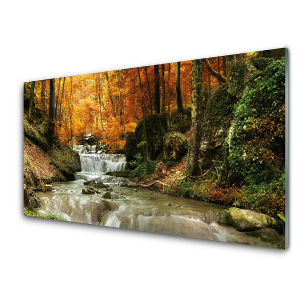 Quadro de vidro Cachoeira Floresta Natureza